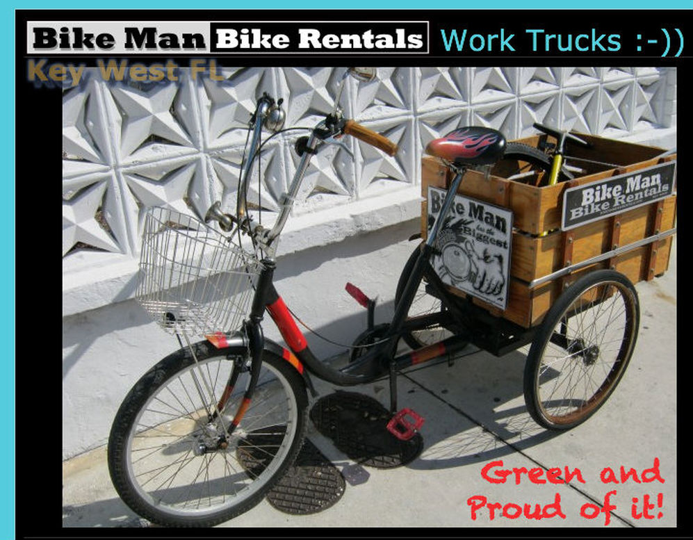 Bike repairs daily, great service